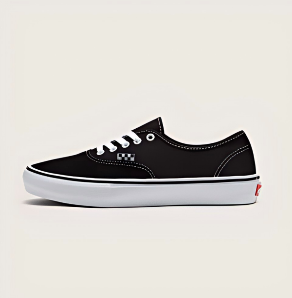 Vans Skate Authentic Shoe CO90340161